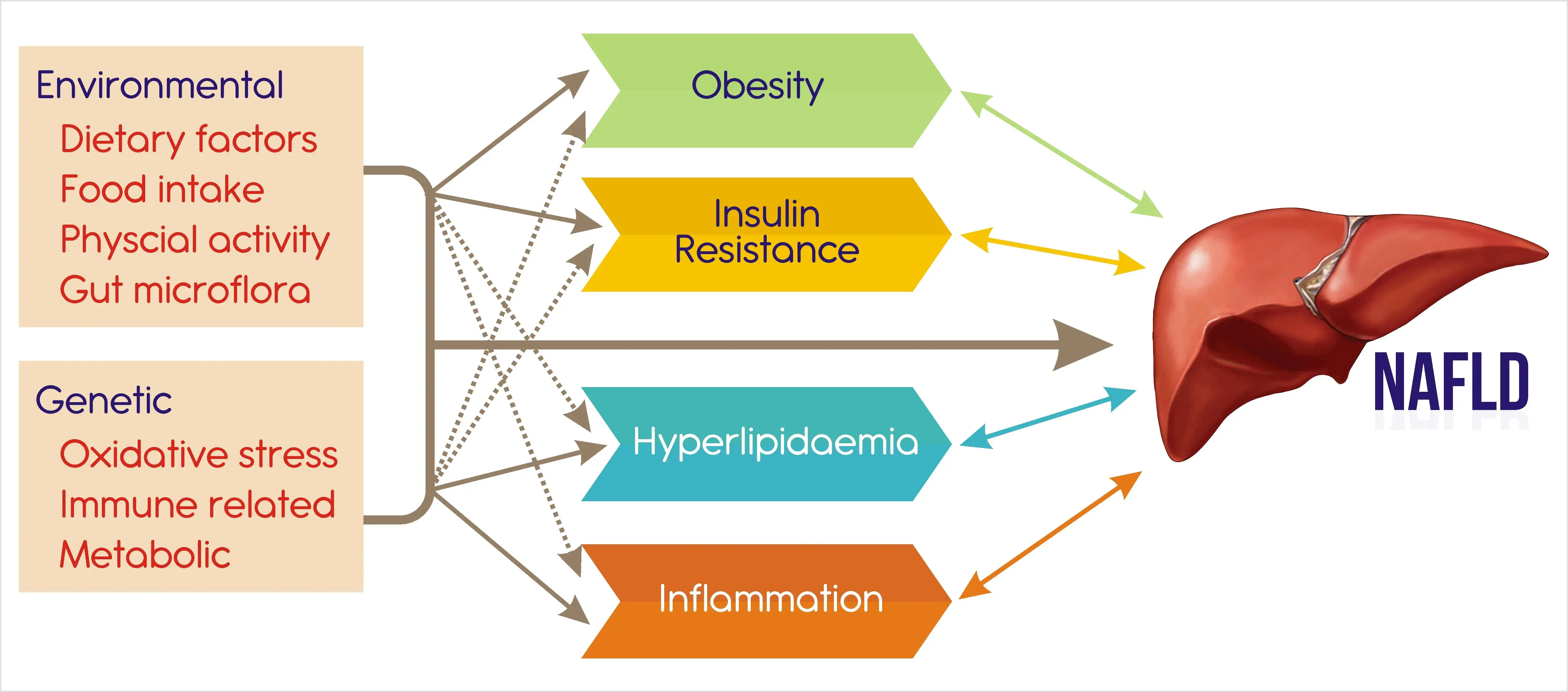 Jazz A Louisiana Kitchen