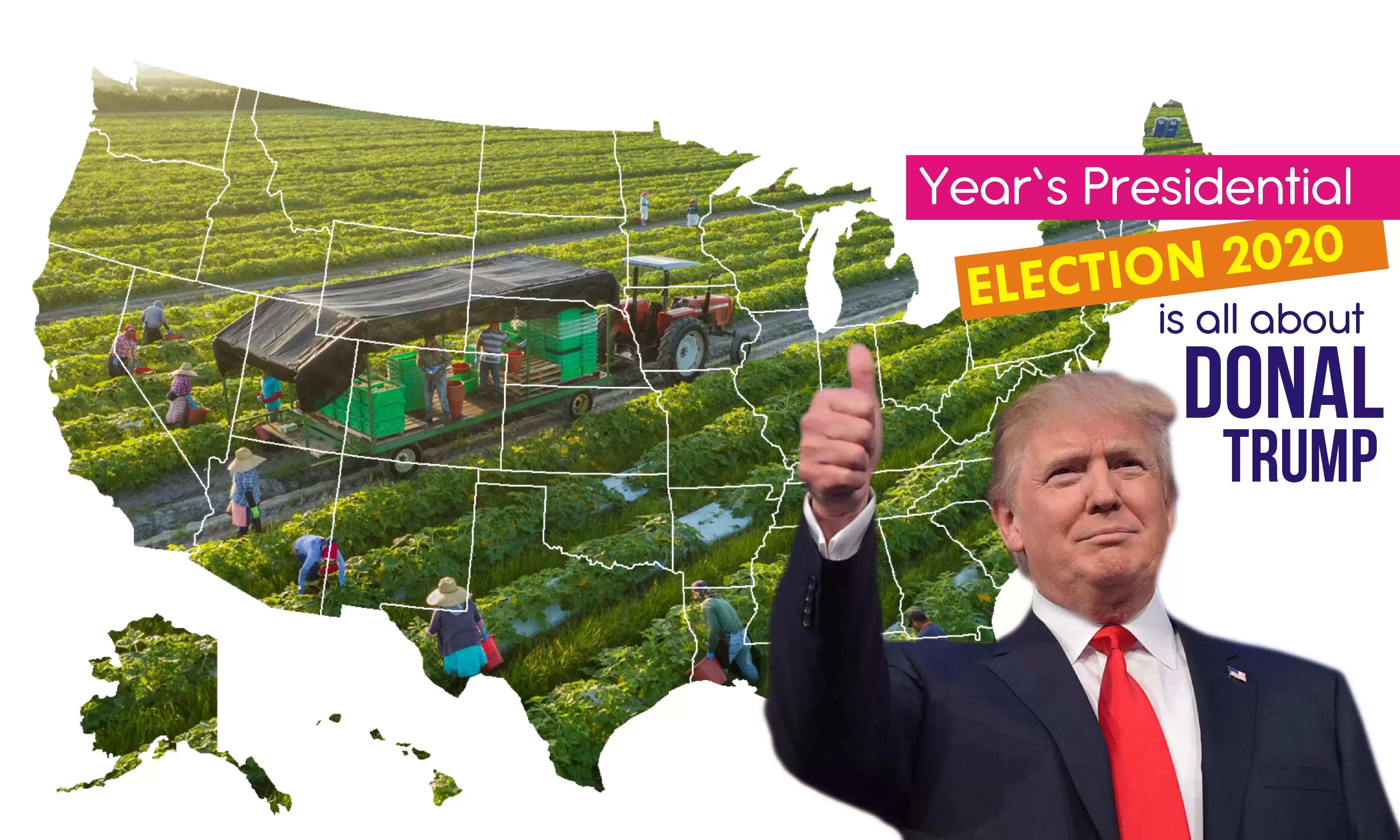 Su Wings Chinese Restaurant