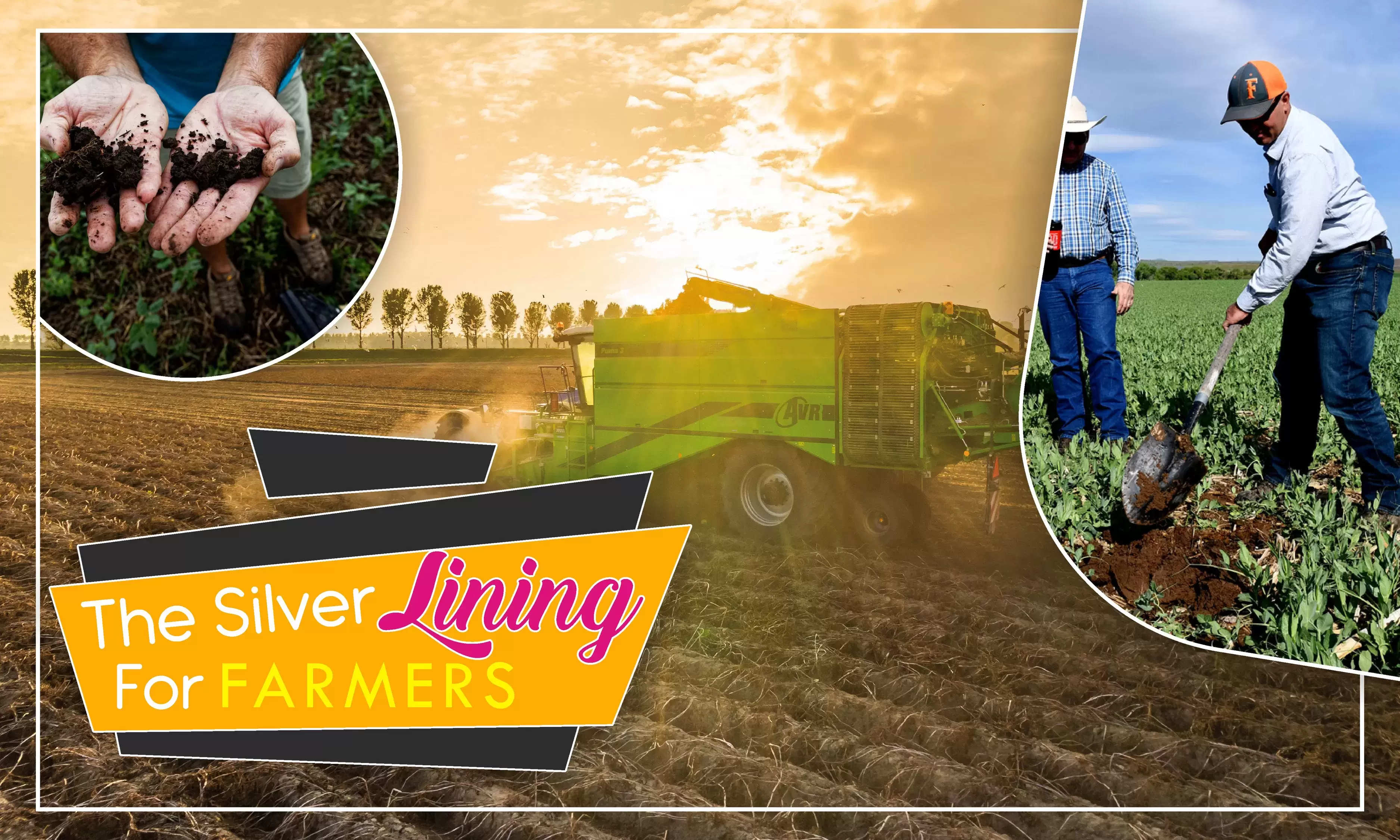 Juicy Burgers & More